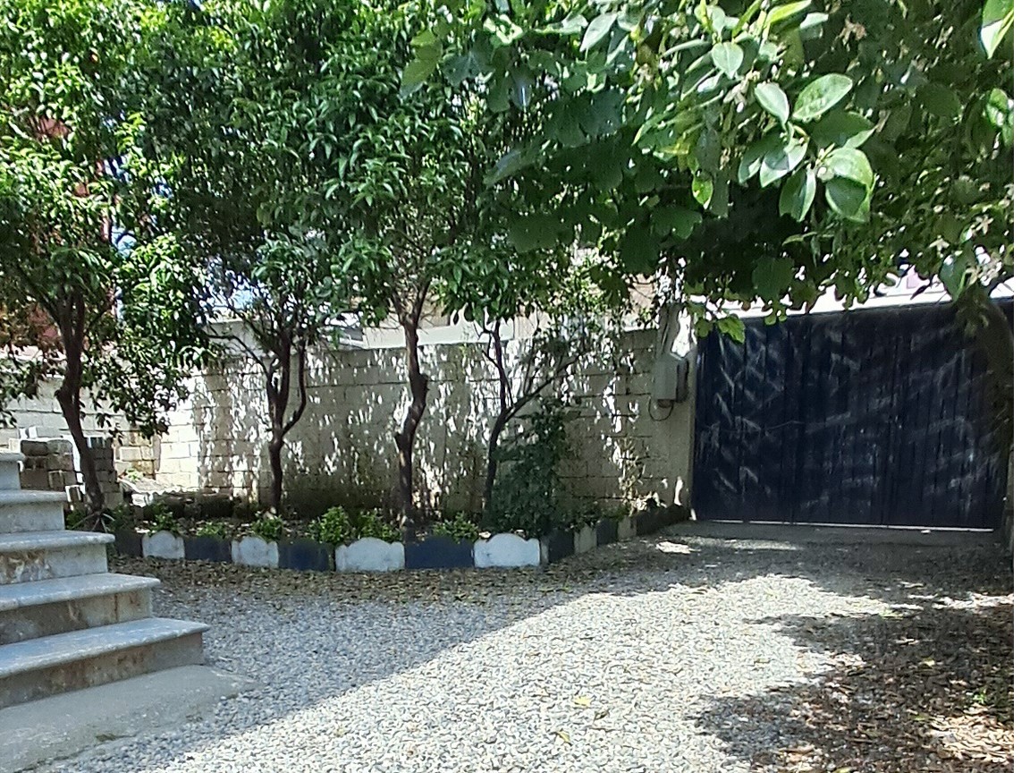 حیاط