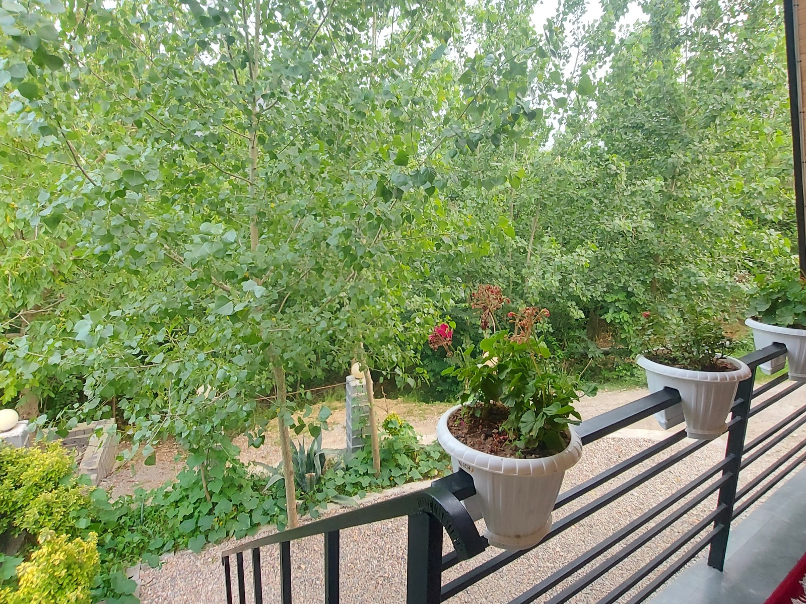 نمای بیرونی ساختمان