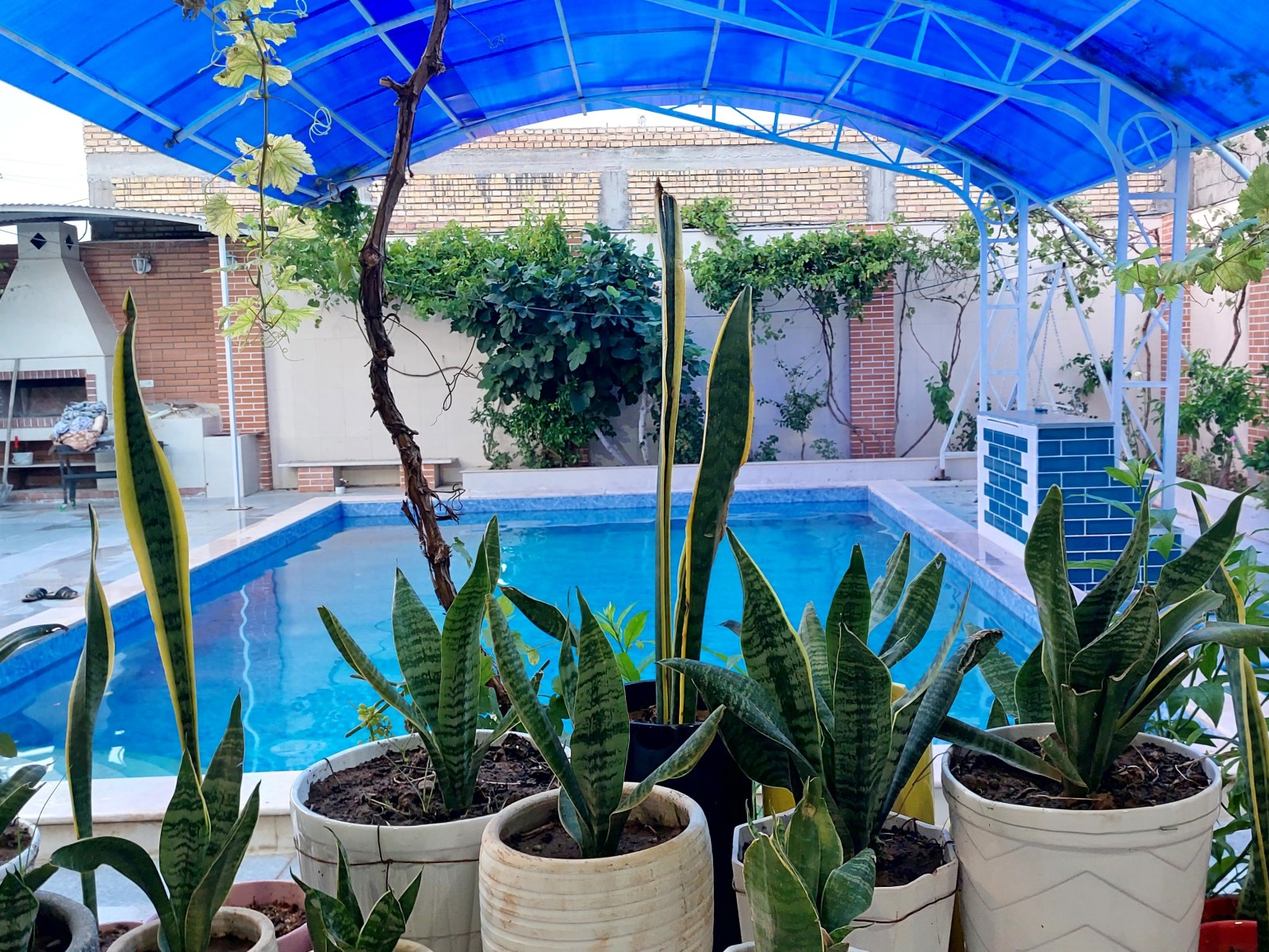 استخر استخر