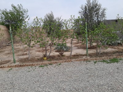ویلا باغی بافت روستایی