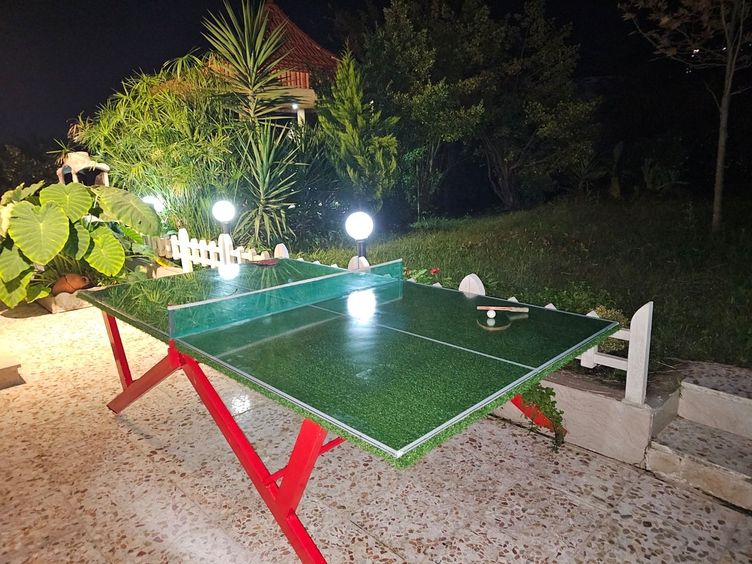میز پینگ پنگ اختصاصی مهمان
