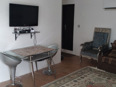 تک خواب جنگلی سپهر