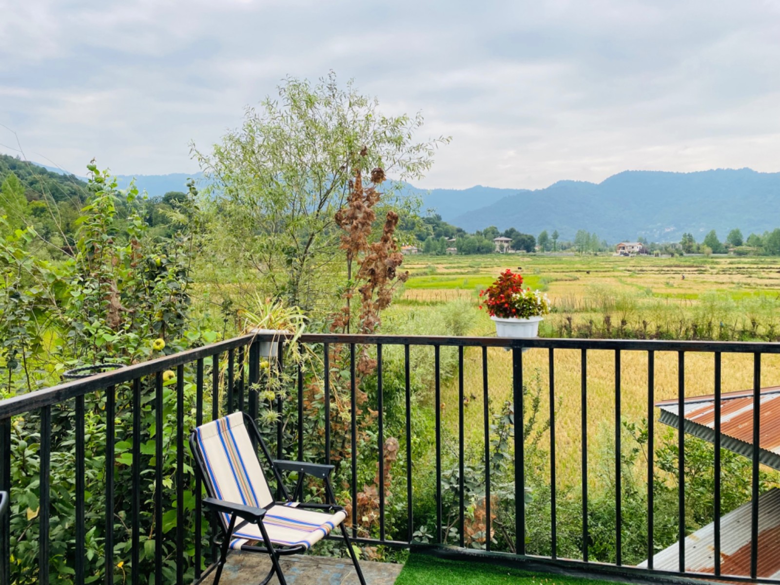 نمای بیرونی ساختمان