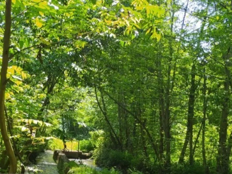 نمای رودخانه مجاور اقامتگاه