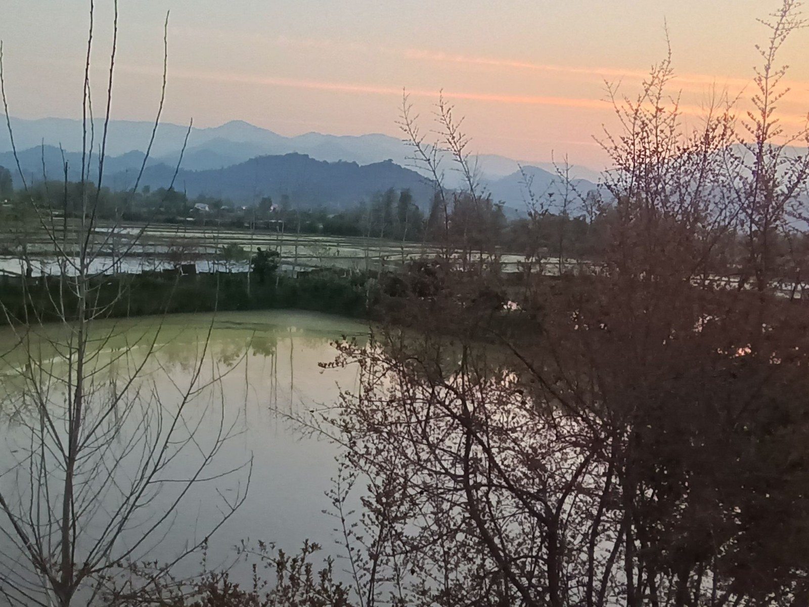 چشم انداز