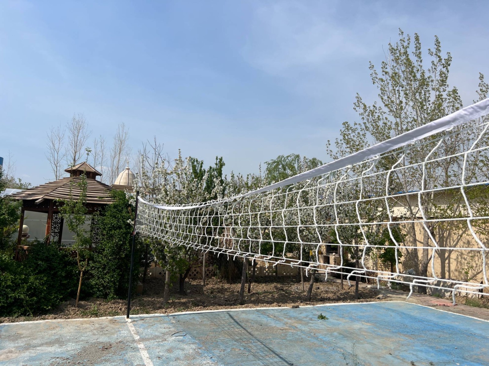 زمین والیبال