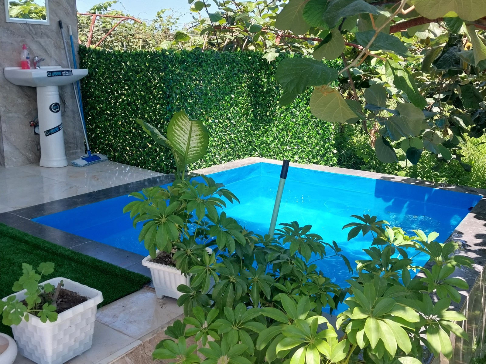 استخر استخر