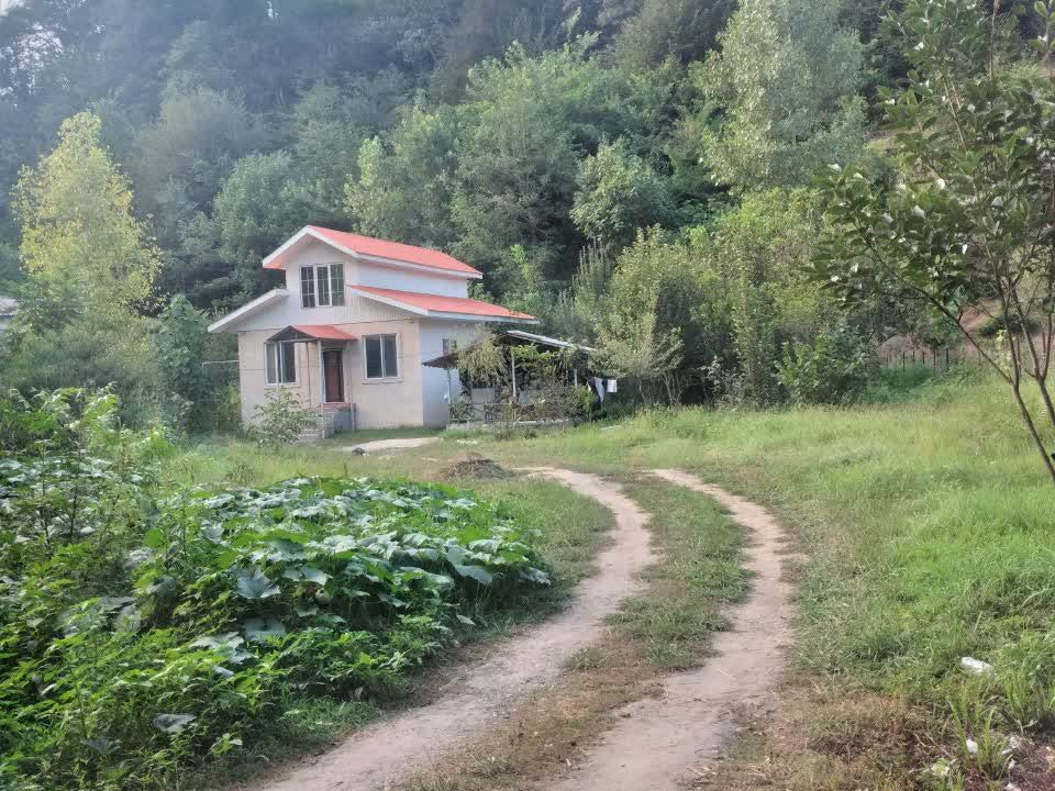 نمای بیرونی ساختمان نمای بیرونی ساختمان