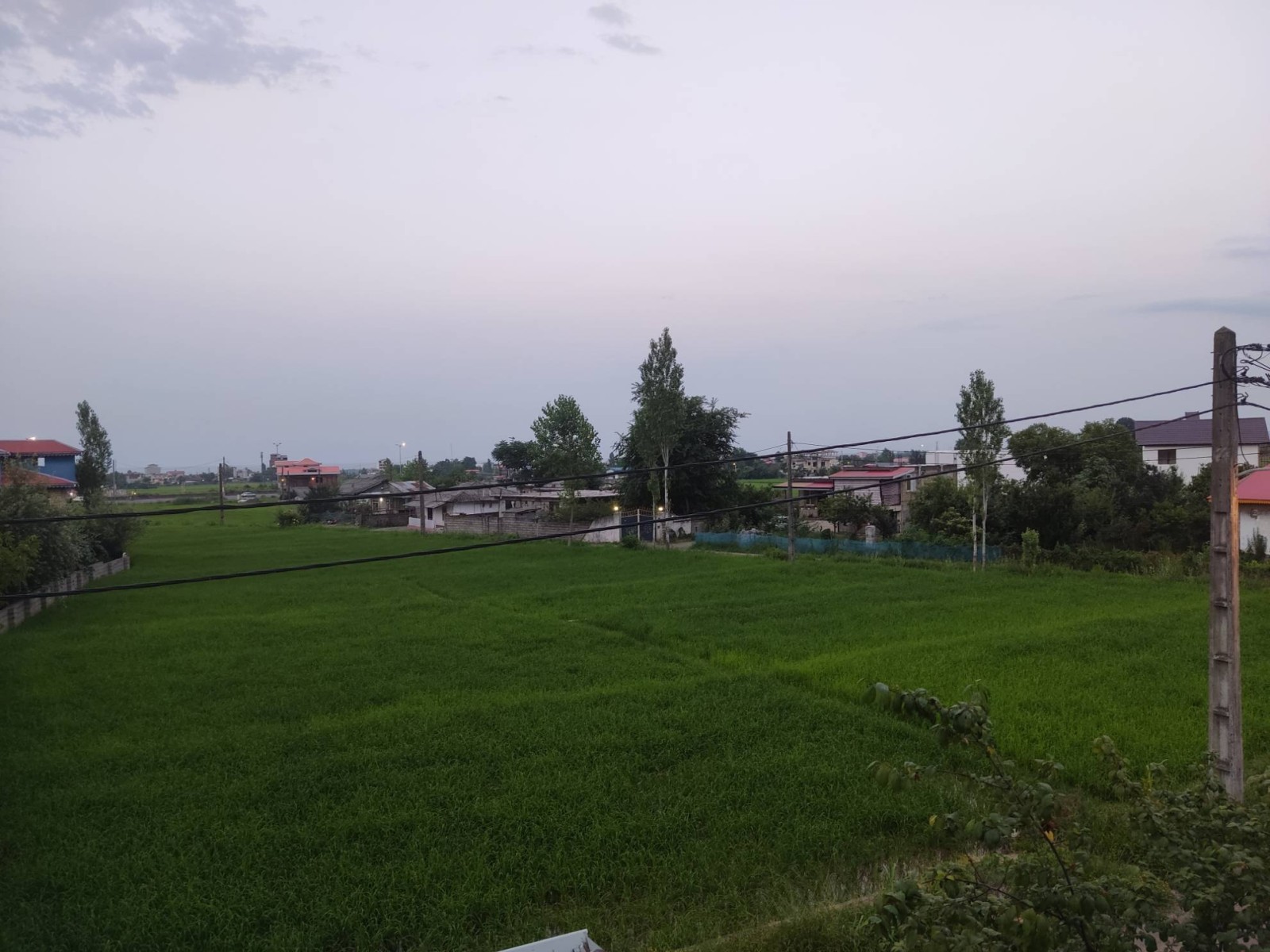 ویو شالیزار ویو شالیزار