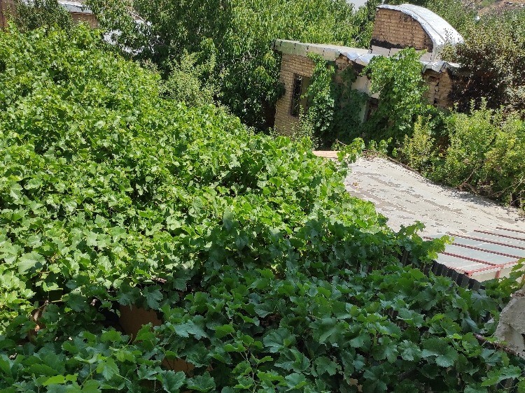 نمای بیرونی ساختمان نمای بیرونی ساختمان