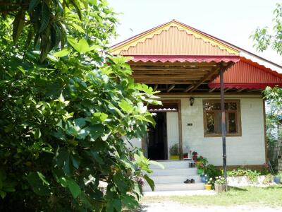 در حیاط ویلا پر از درختان میوه است