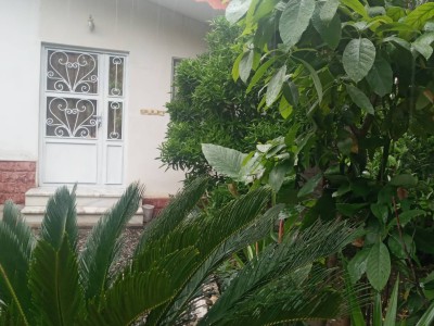 سوییت دنج و آرام گل