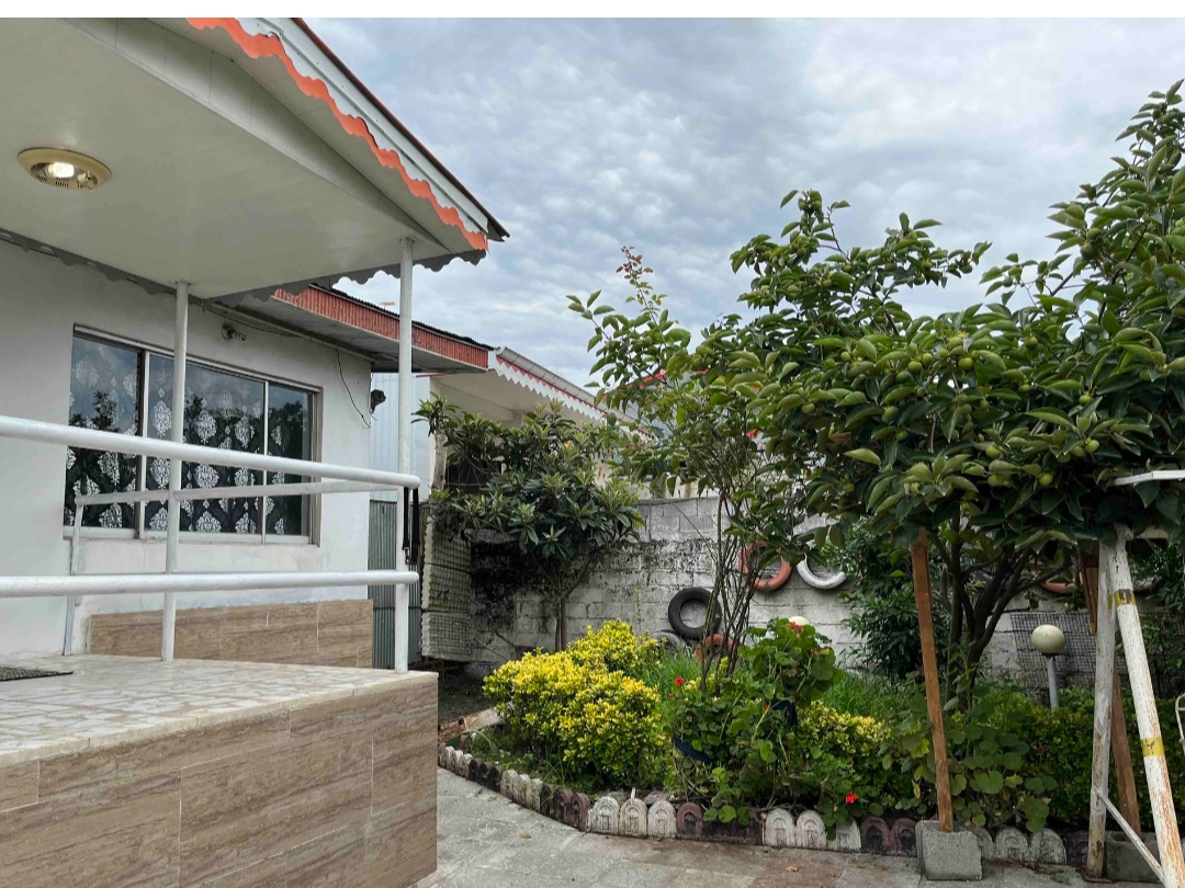 نمای بیرونی ساختمان