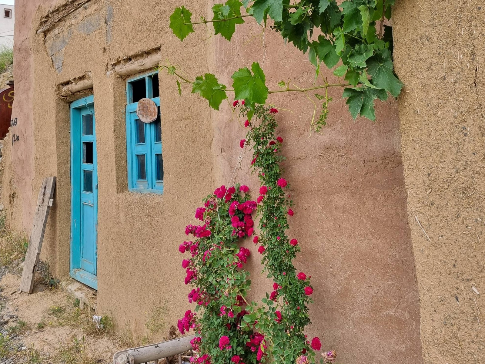 نمای بیرونی ساختمان