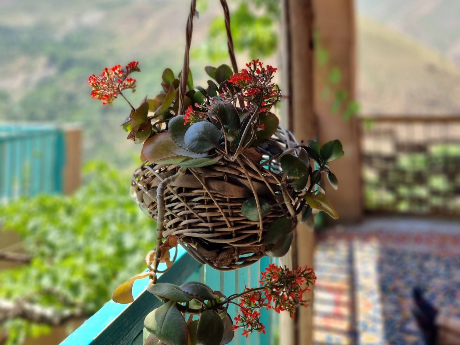 تراس