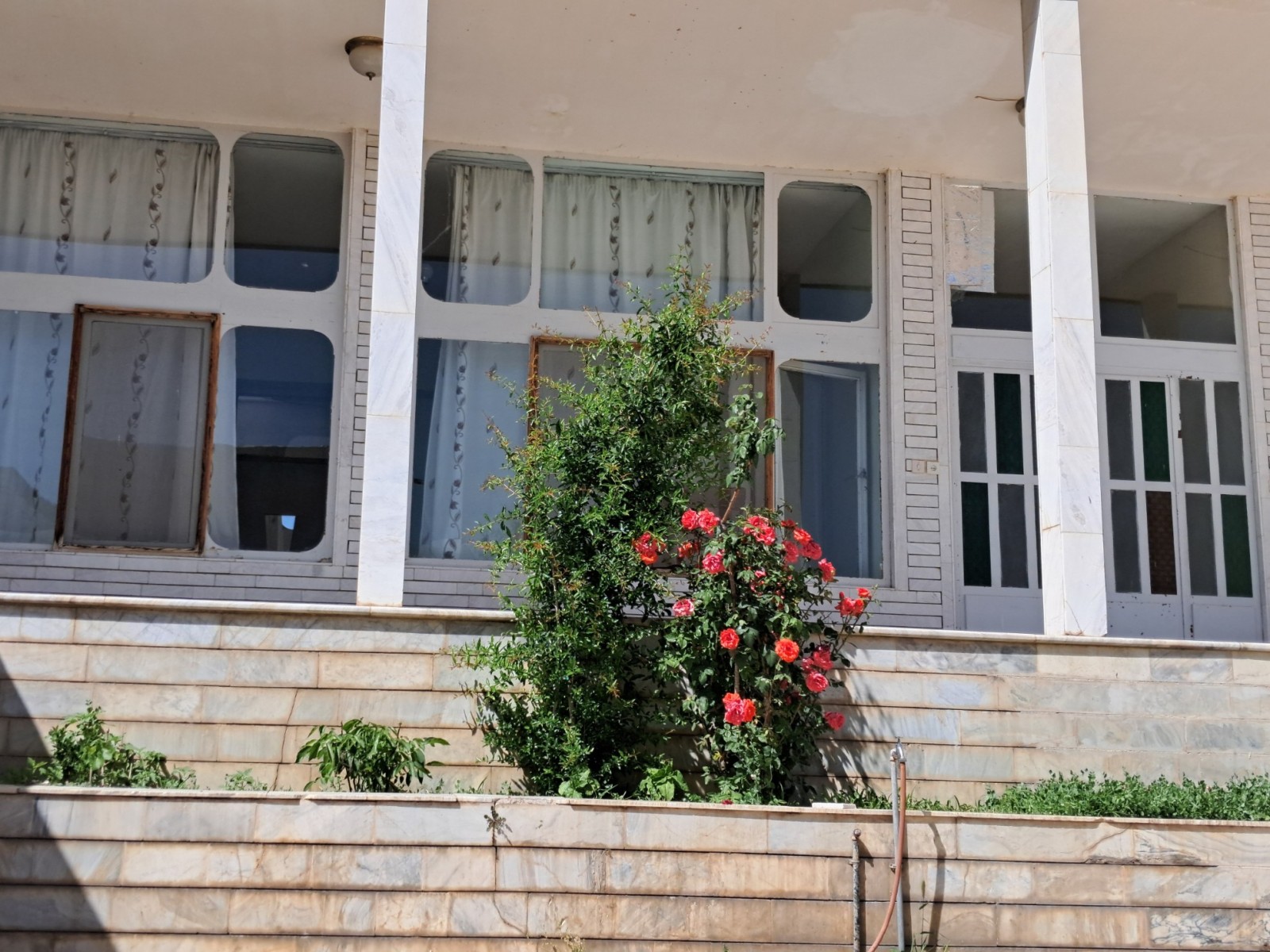 نمای ساختمان نمای ساختمان