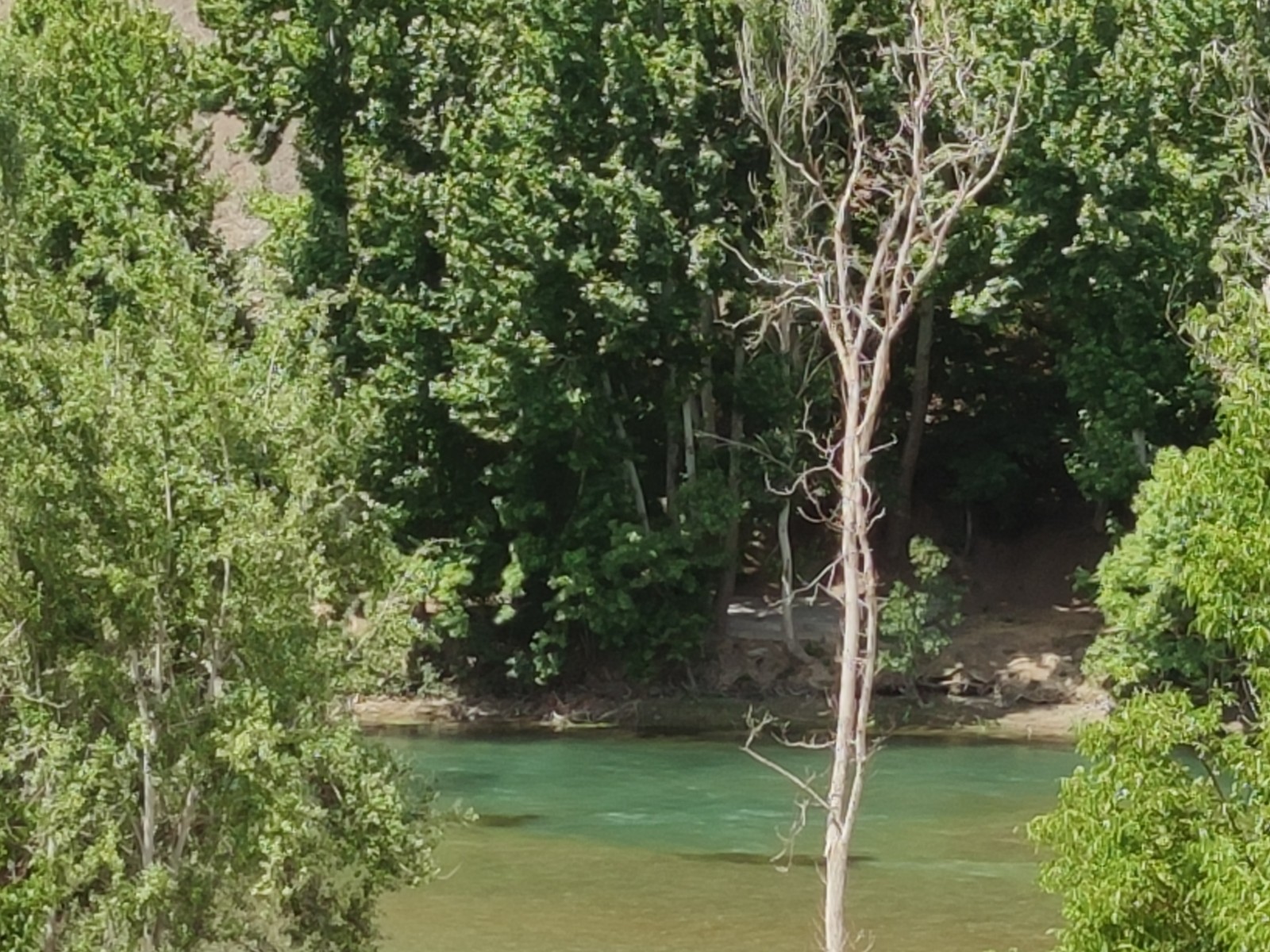 زاینده رود زاینده رود