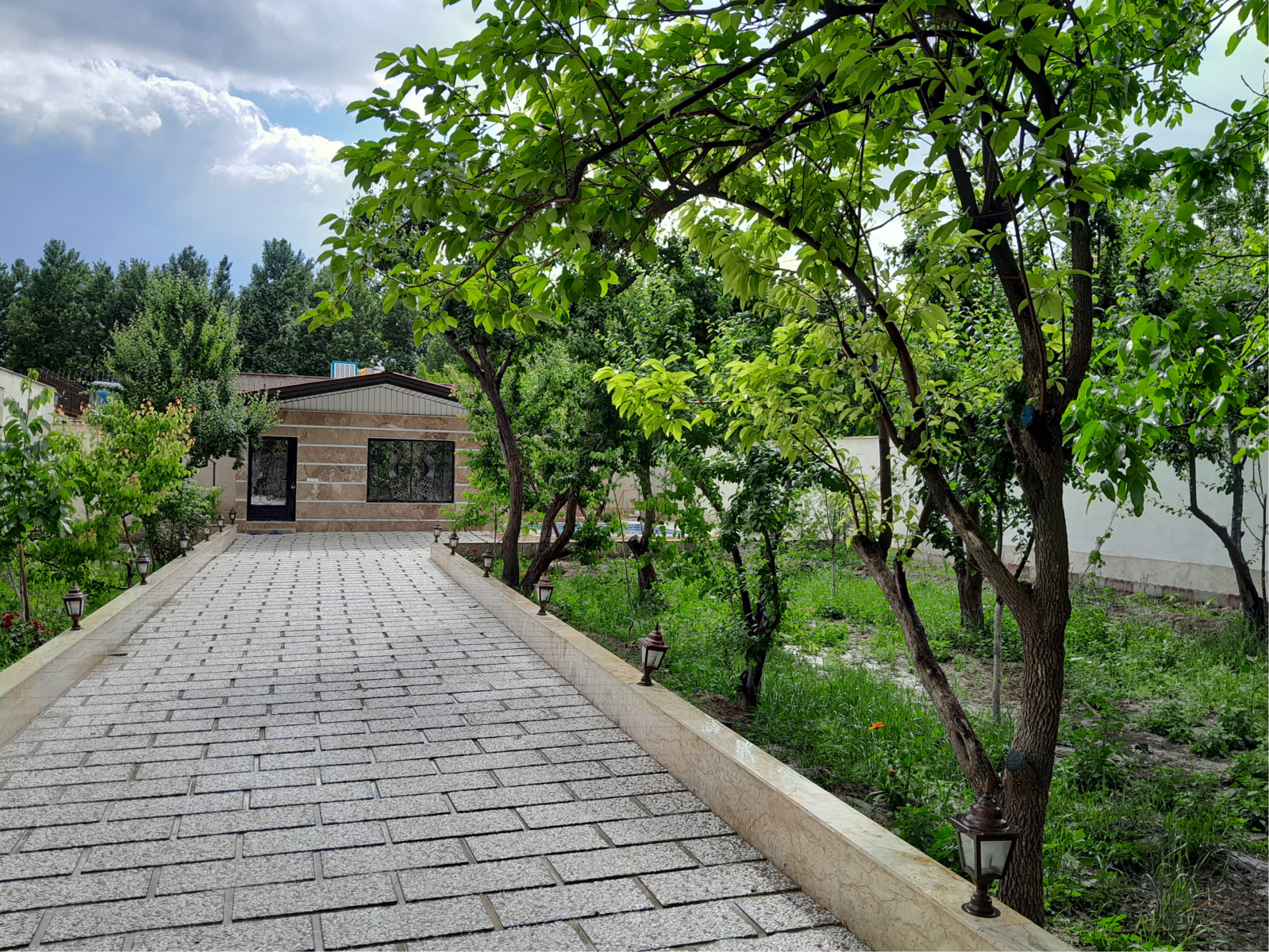حیاط