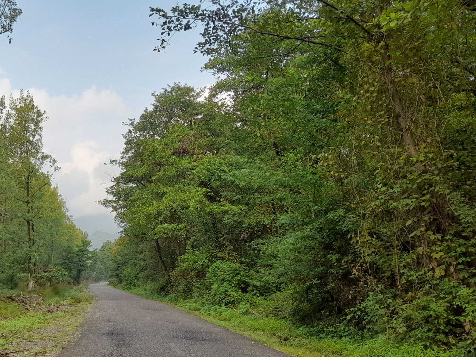 راه روستا راه روستا