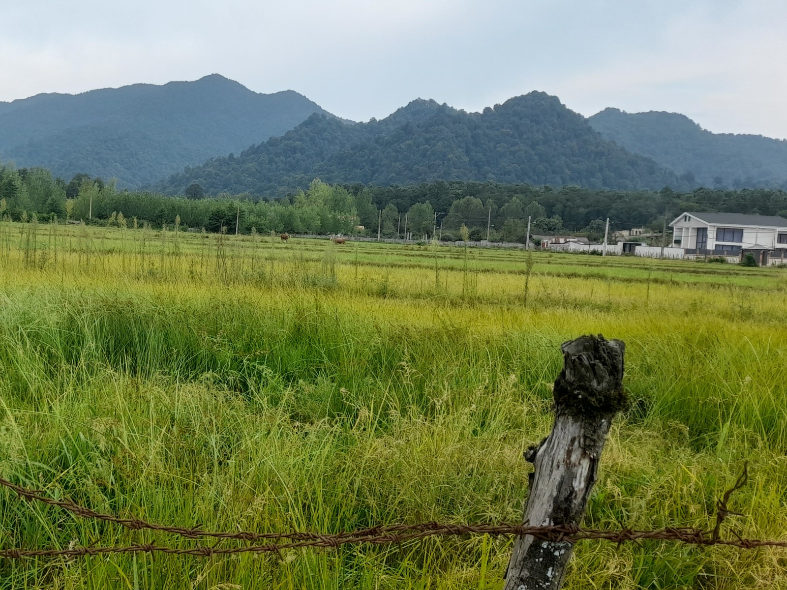 نمای بیرونی ساختمان نمای بیرونی ساختمان