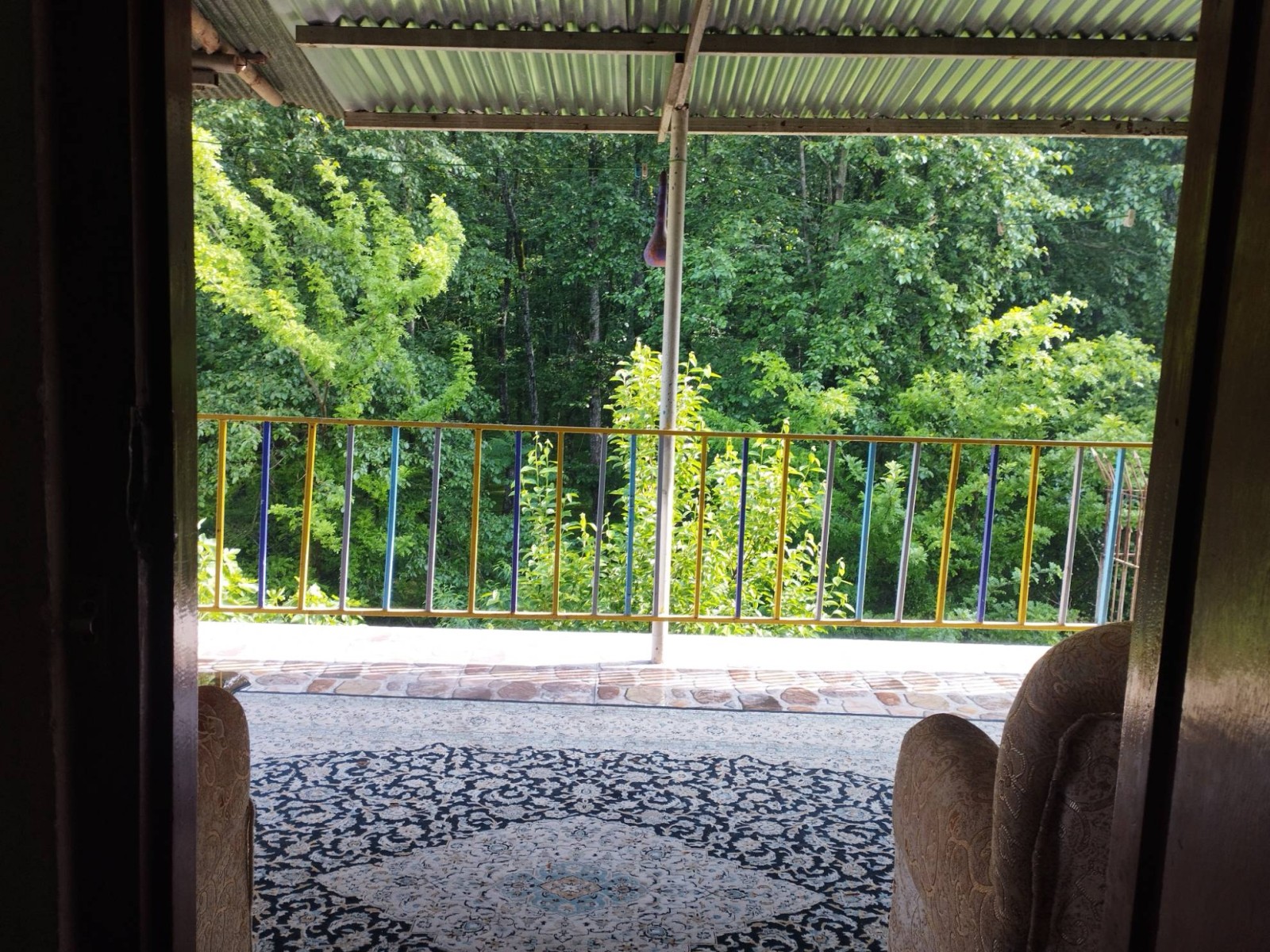 تراس تراس پنجاه متری رو به جنگل