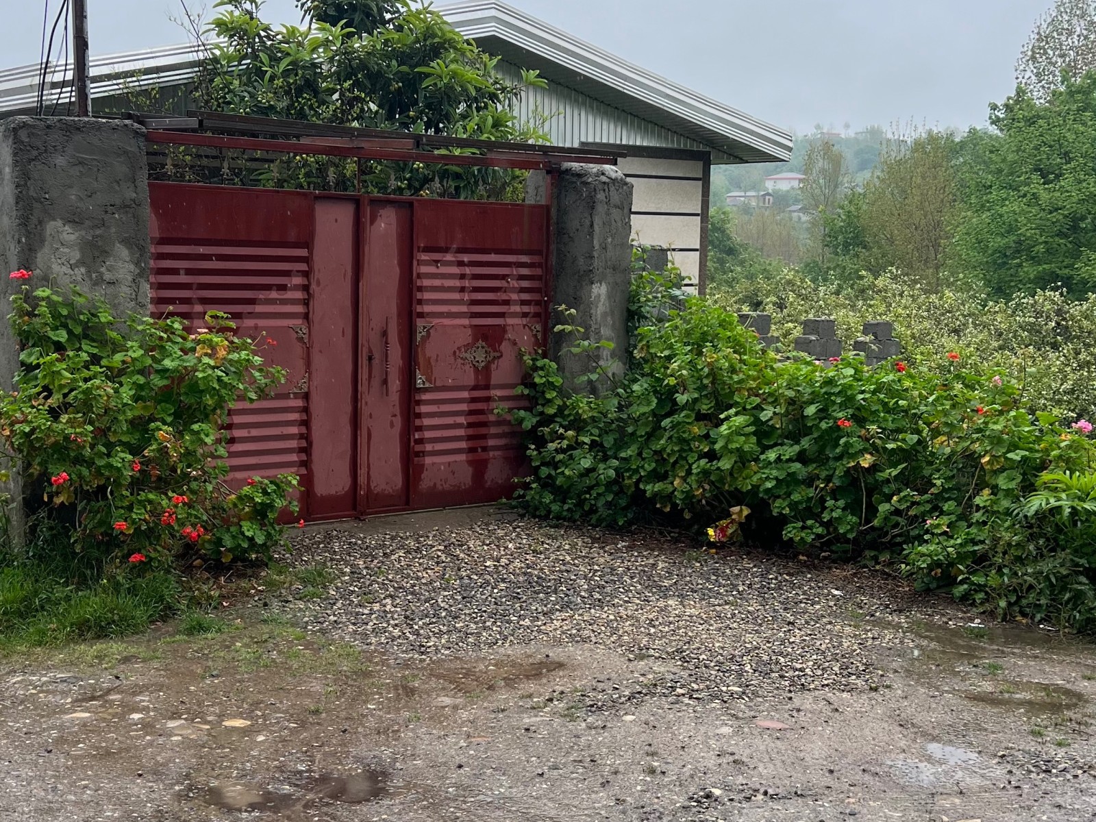 نمای بیرون ویلا نمای بیرون ویلا