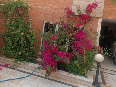 سوییت 75متری تک خواب دارای 40مترتراس