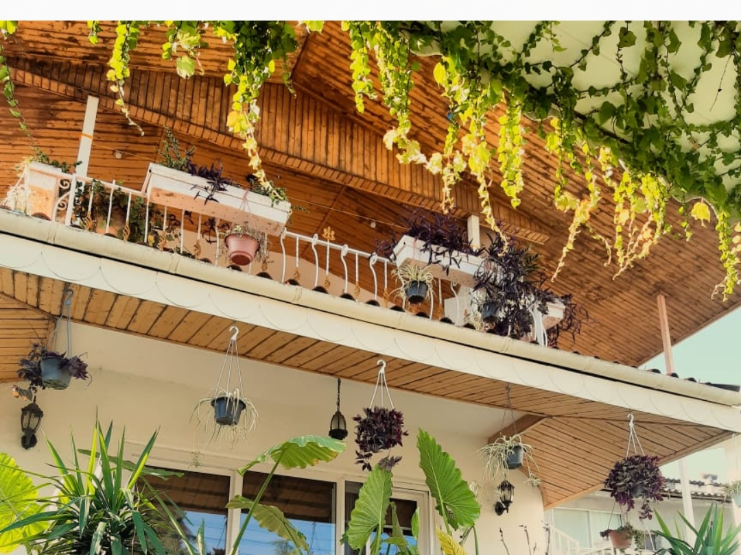 نمای بیرونی ساختمان