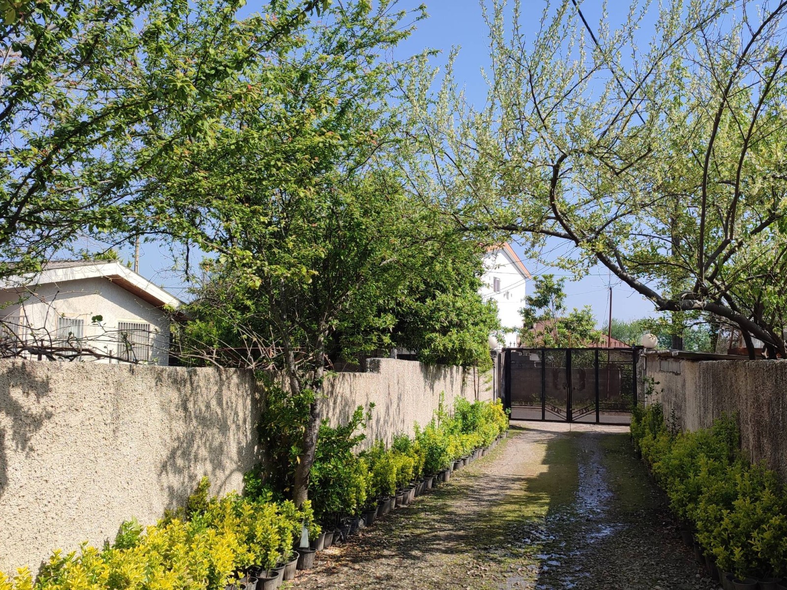 ورودی مجتمع ورودی مجتمع