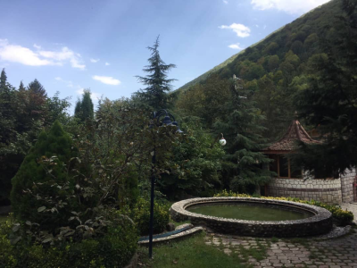 دوخواب دیزاین مدرن چشم انداز جنگل