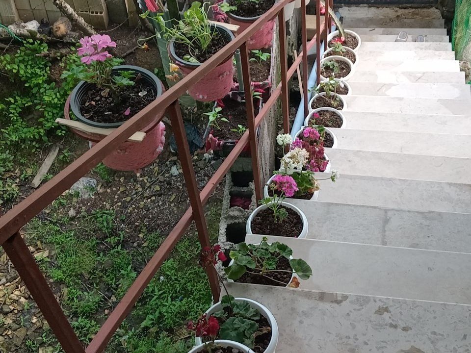 پلها ۲۰ عدد