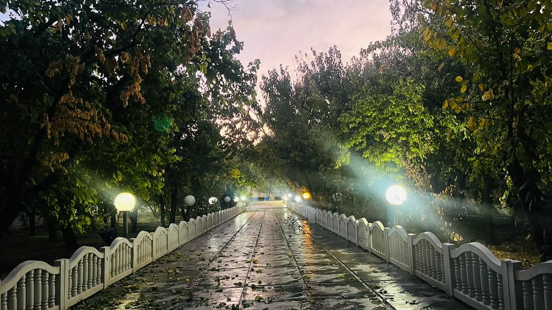 خیابان و جا پارک