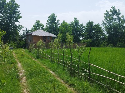 سوییت کلبه چوبی افرا