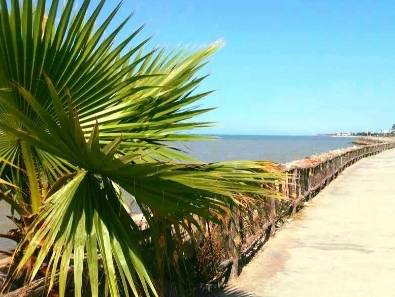 مسیرپیاده روی