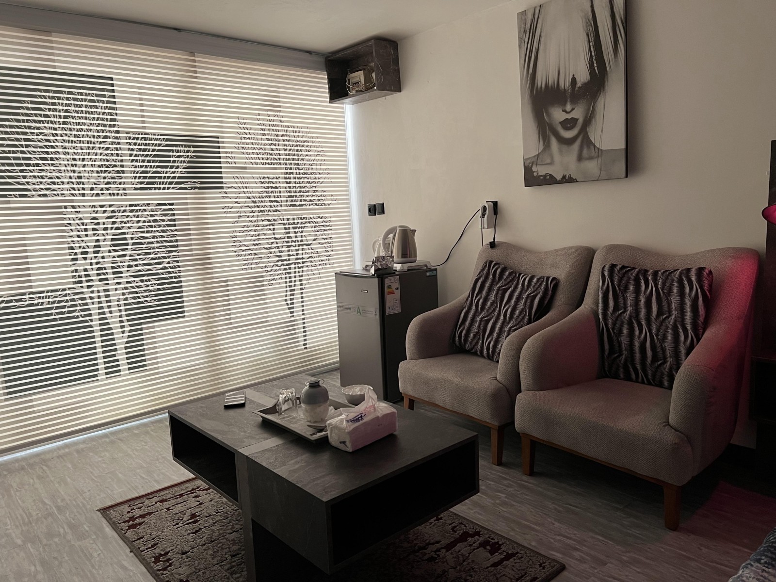 اتاق پذیرایی