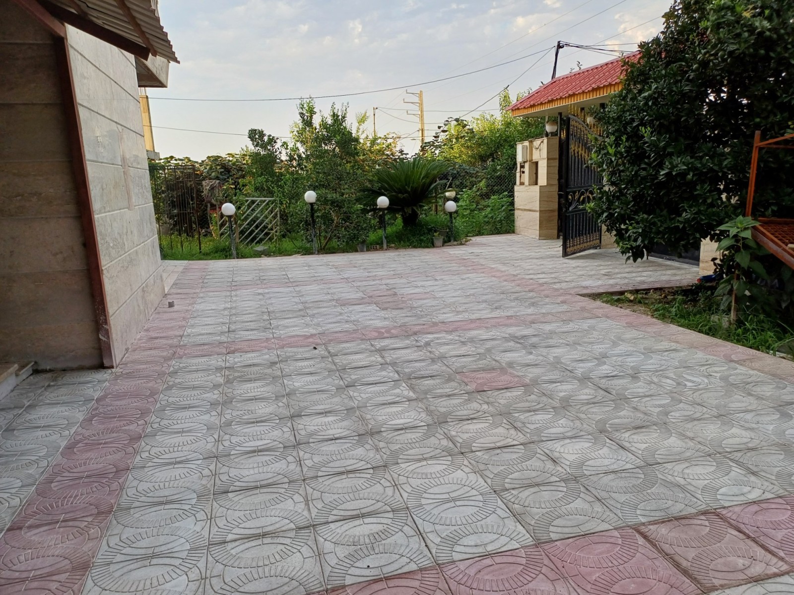 حیاط