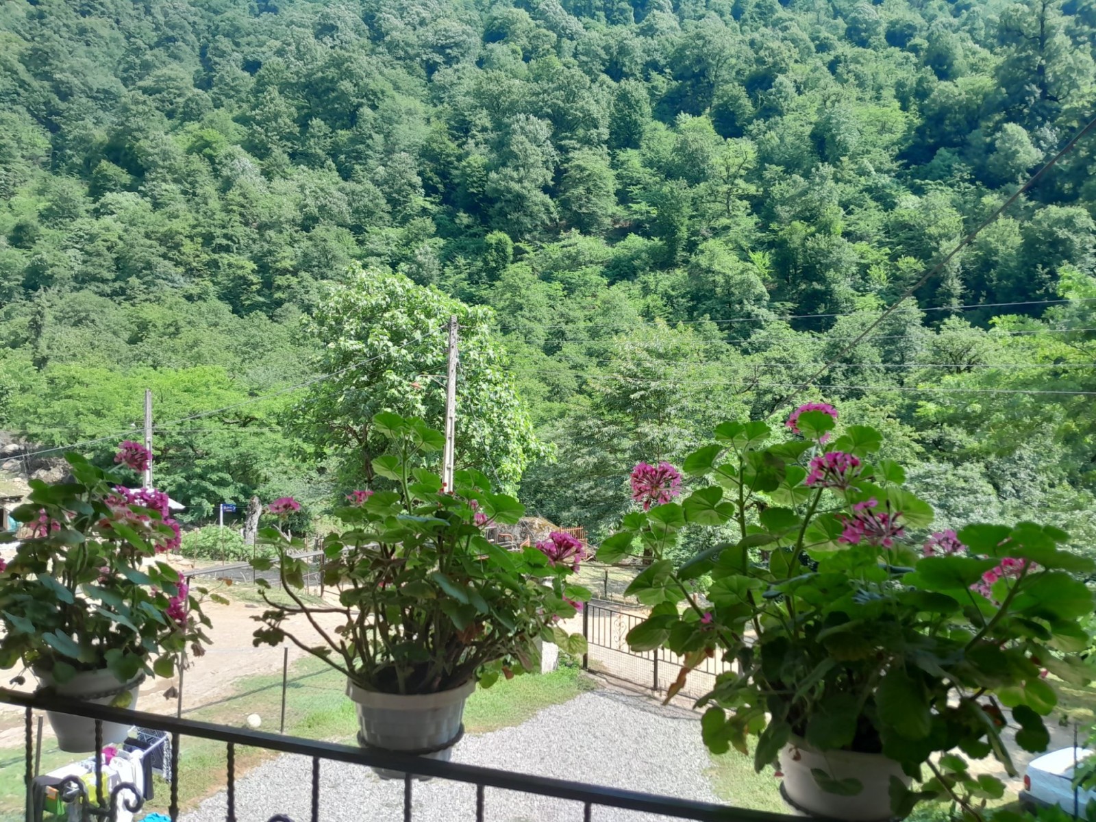 نمای بیرونی ساختمان