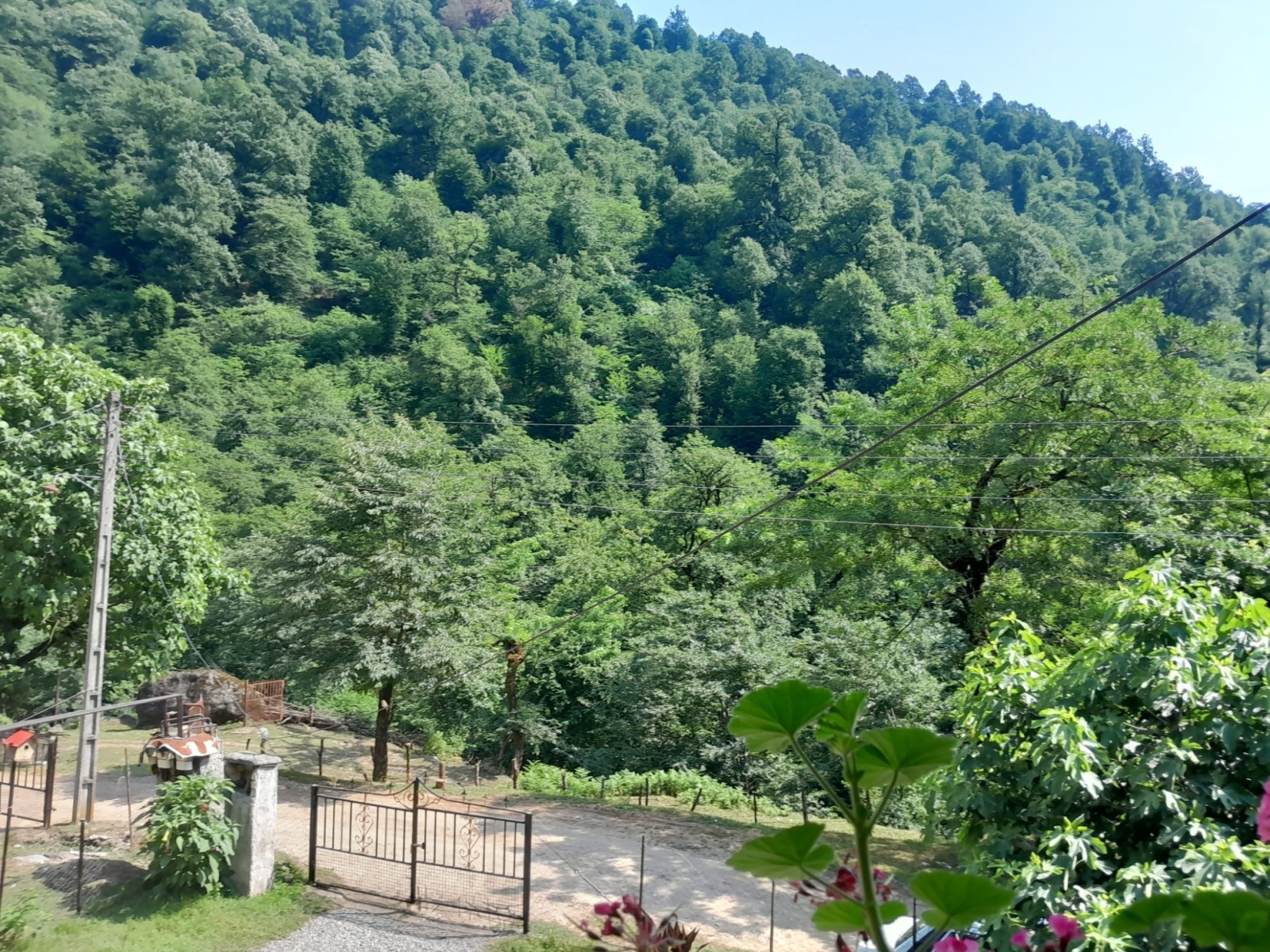 نمای بالکن روبه حیاط ومنظره