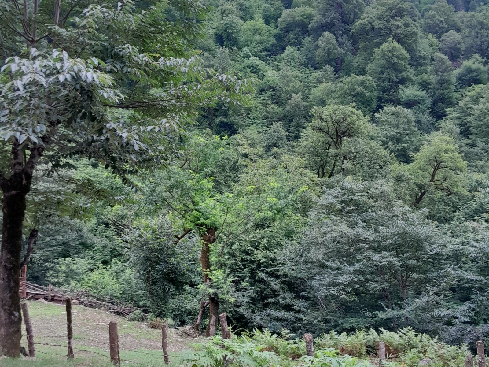 نمای بیرونی ساختمان