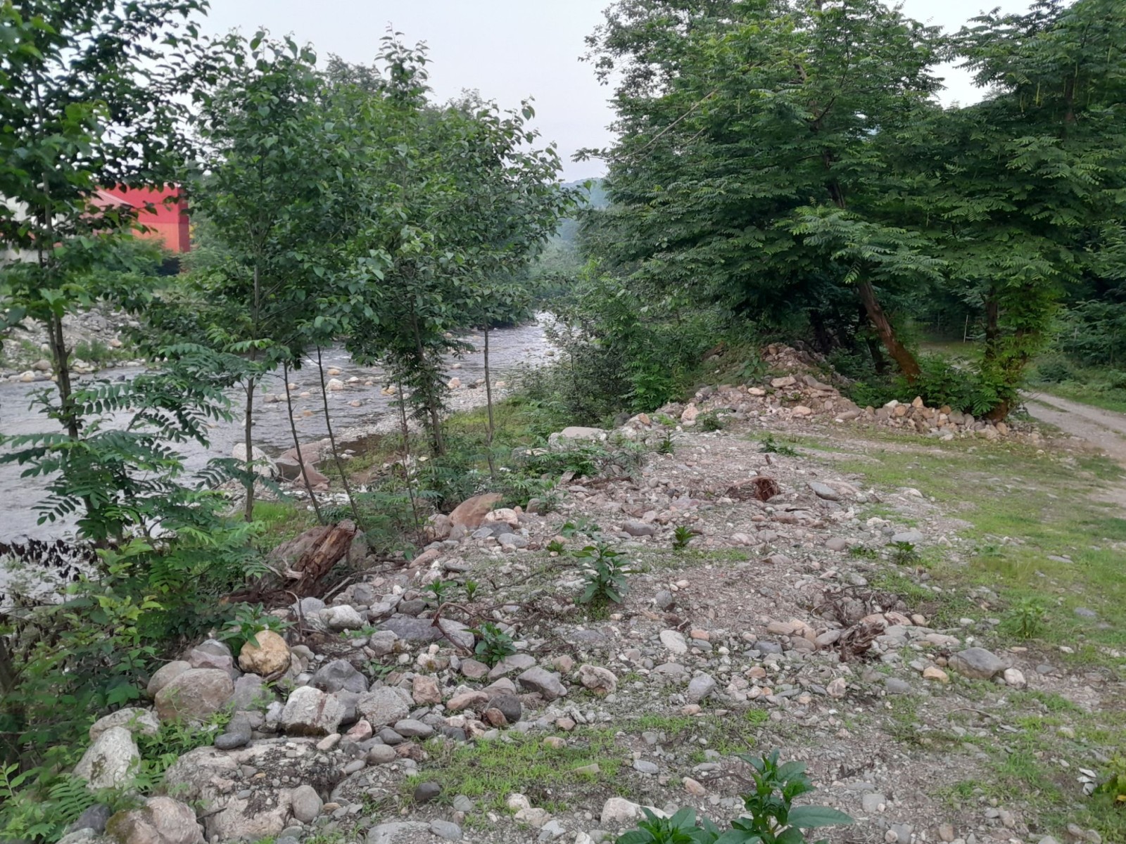 لب رودخانه
