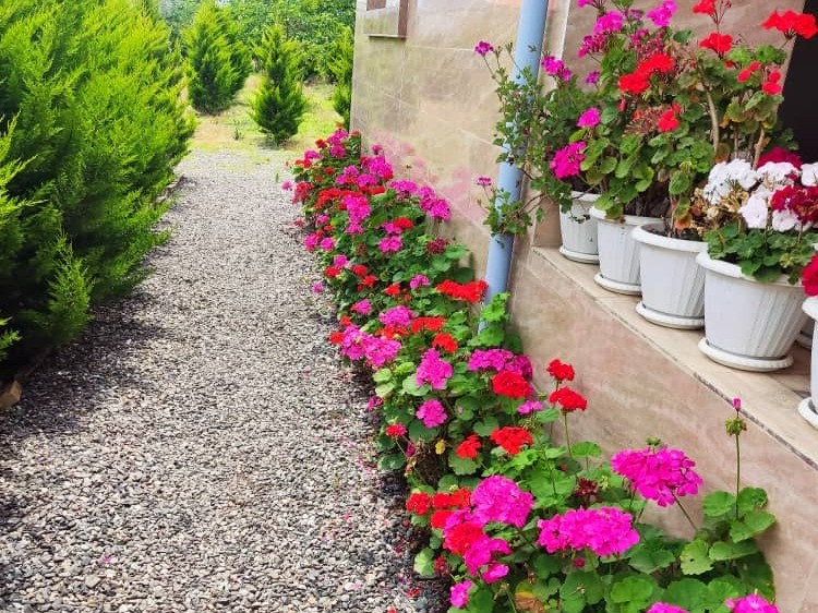 نمای بیرونی ساختمان
