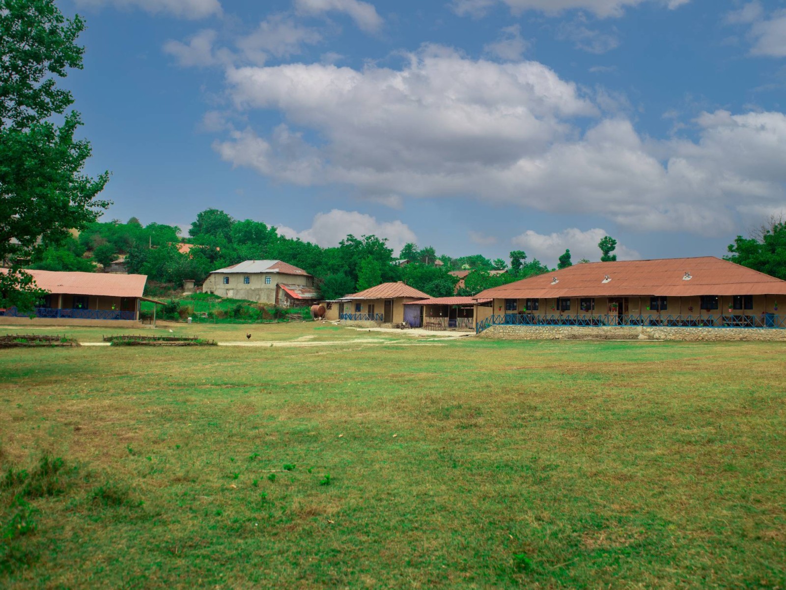 نمای ساختمان نمای ساختمان