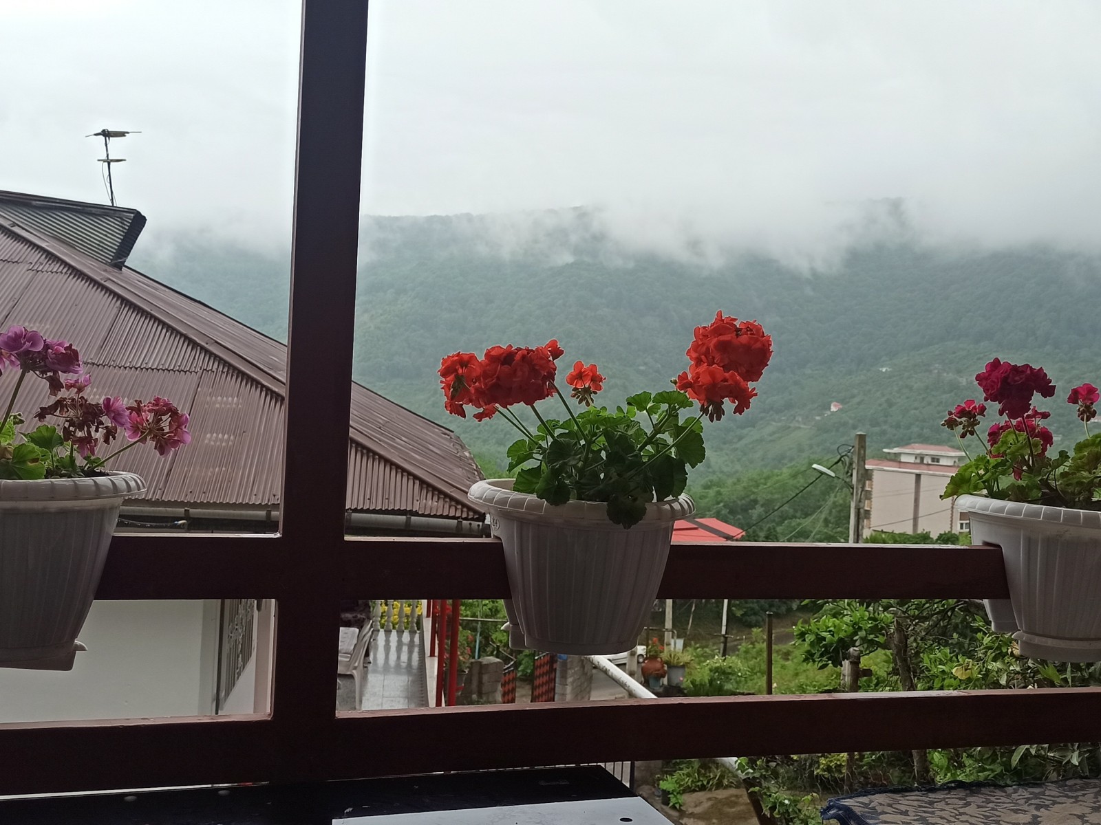 آلاچیق