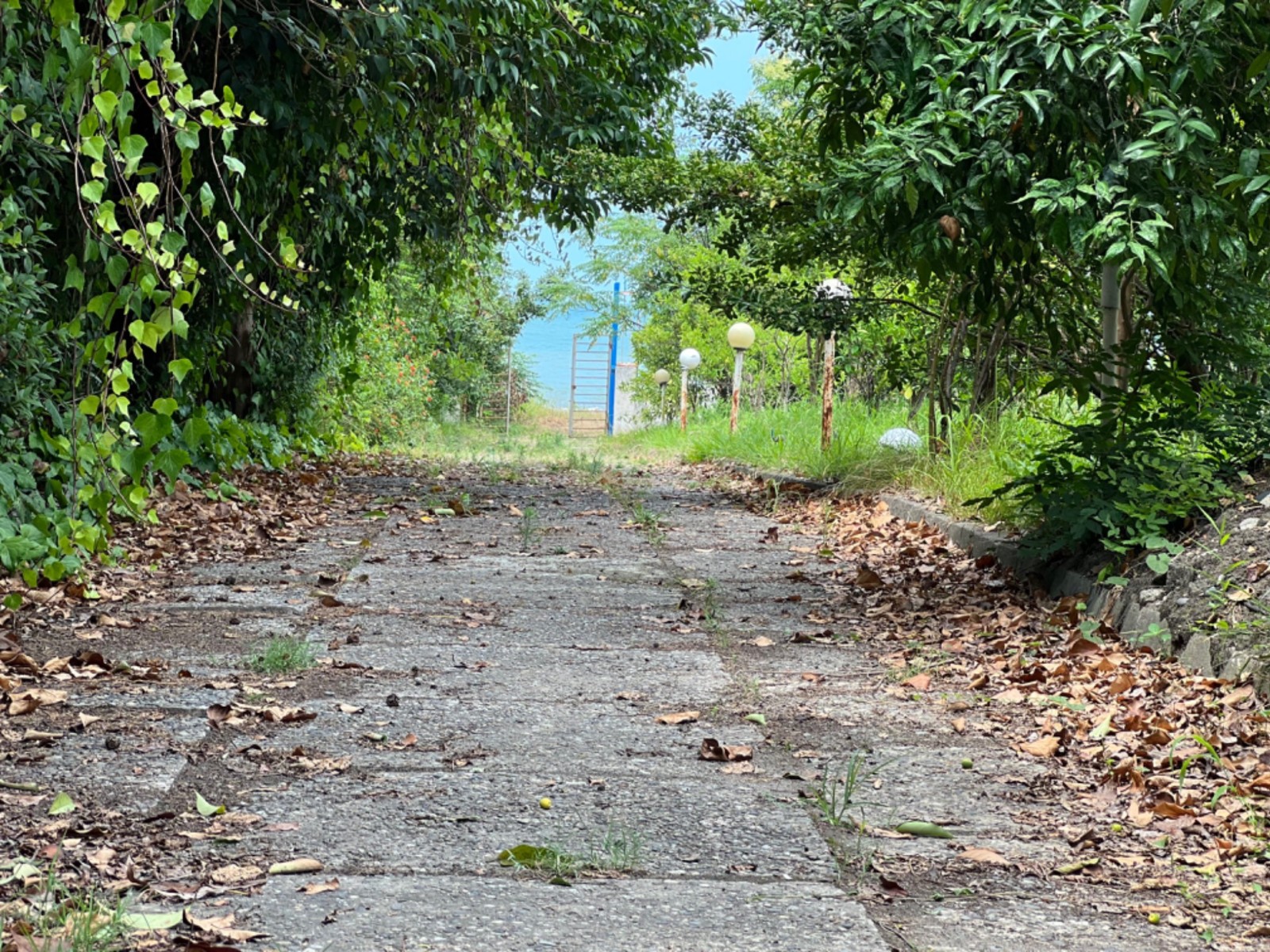 مسیر حیاط به ساحل مسیر حیاط به ساحل