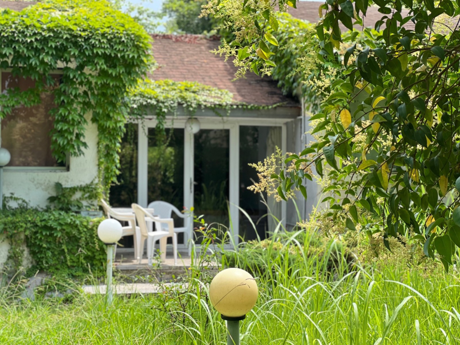 فضای جلوی ویلا فضای جلوی ویلا