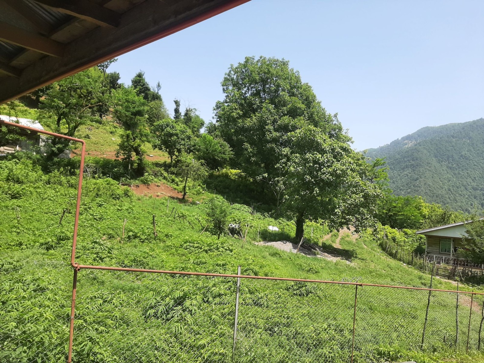 منظره بیرونی