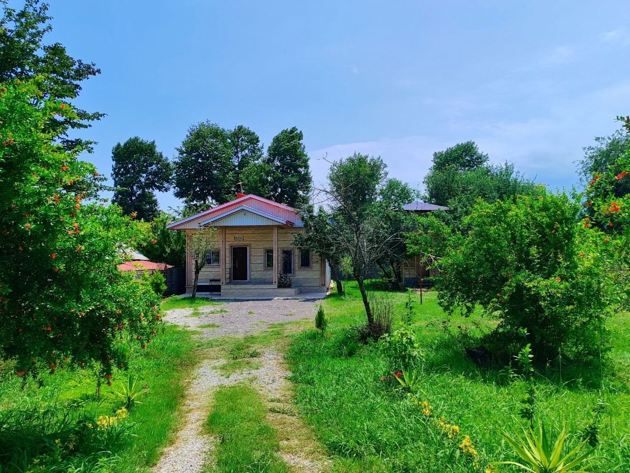 نمای اصلی نمای اصلی