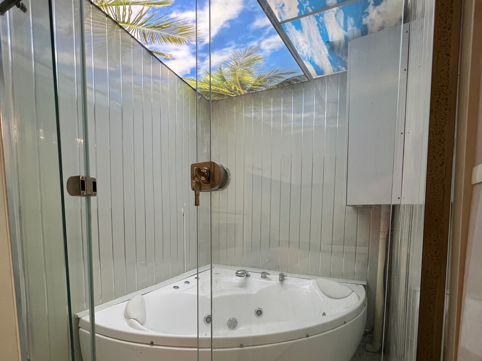 سرویس بهداشتی