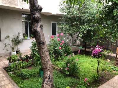 سوئیت تک خوابه حیاط دار