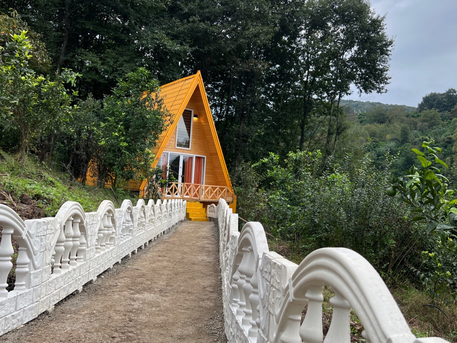 نمای اصلی نمای اصلی